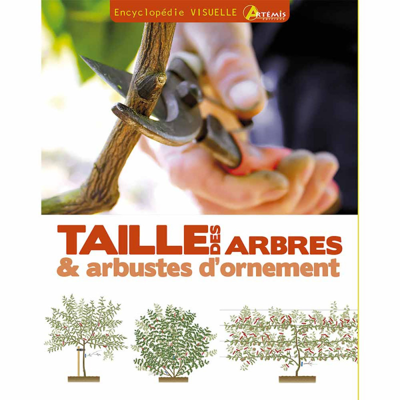 Taille Des Arbres Arbustes D Ornement Ducatillon Belgique