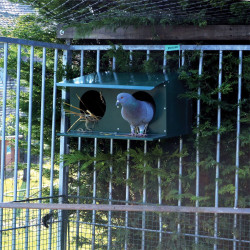 Pigeonnier extérieur 2 places  thermolaq. vert