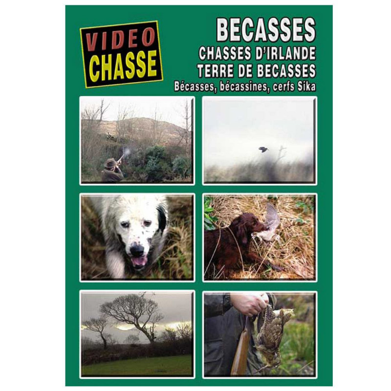 Chasse D'Irlande Terre De Becasse (in het Frans)