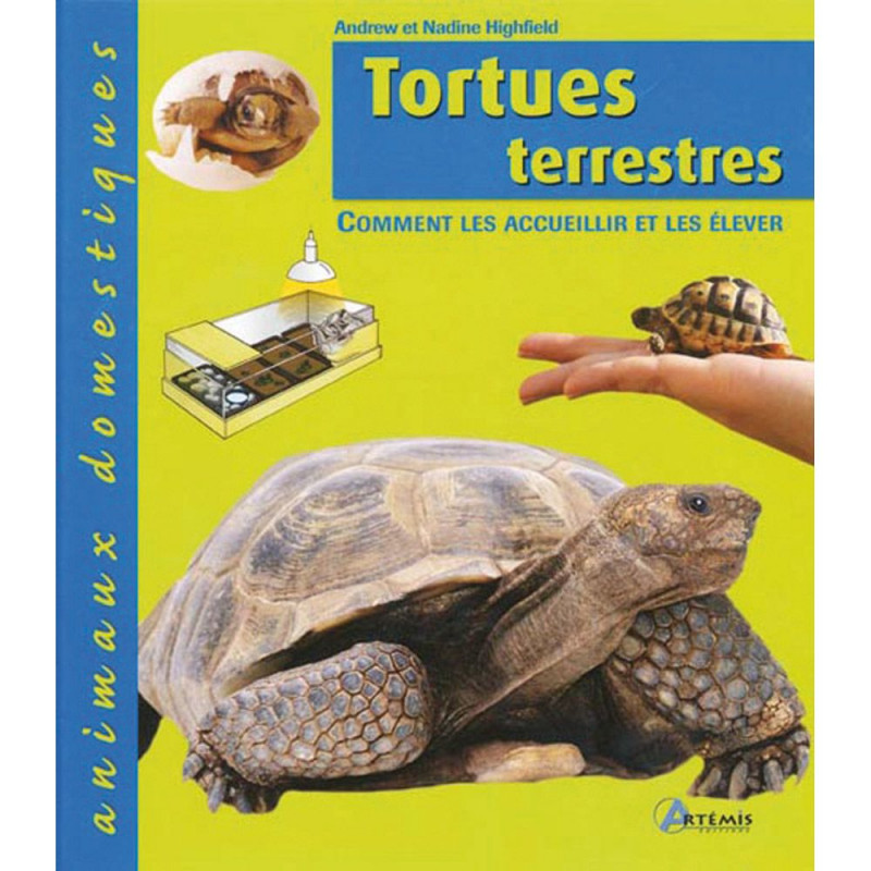 Tortues Terrestres Animaux Domestique (in het Frans)