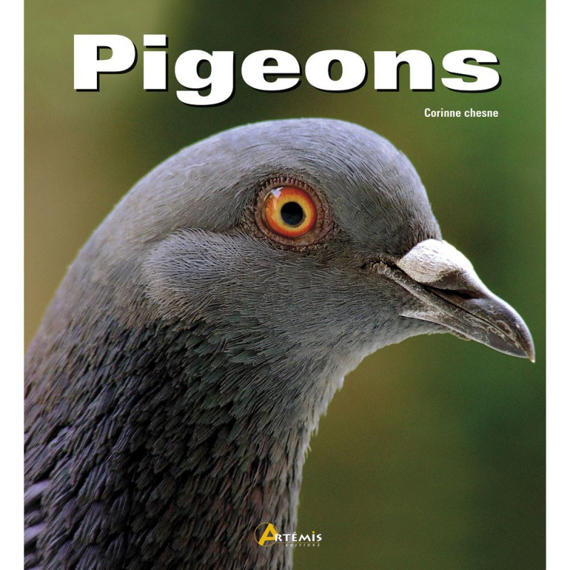 Boek: Pigeons (in het Frans)