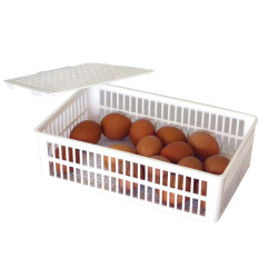 Broedmandje 15 Eieren