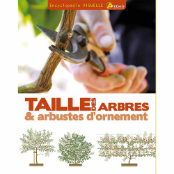Taille des arbres & arbustes d'ornement