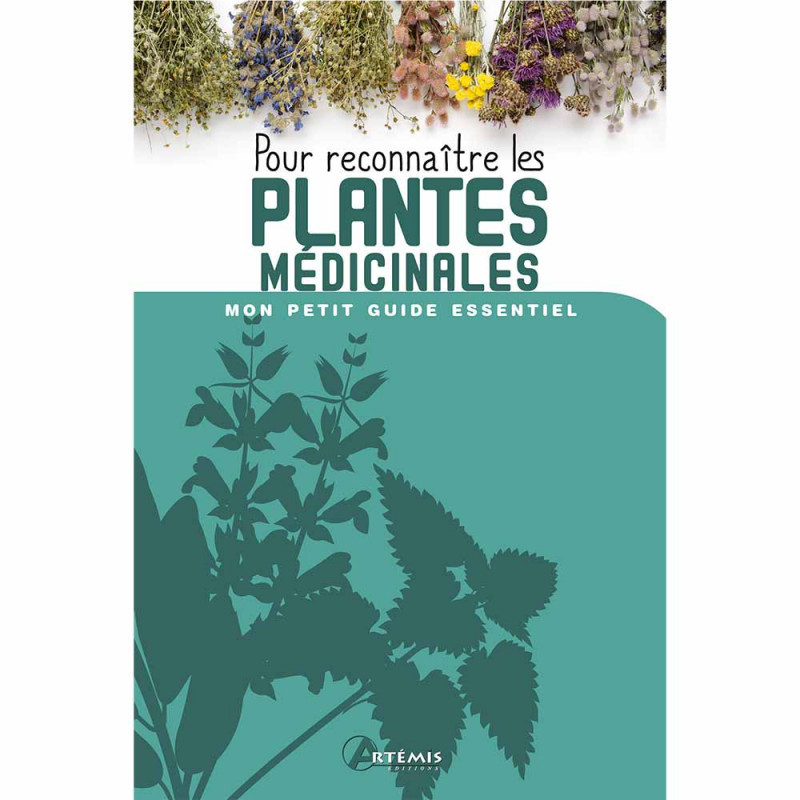 Erkenning van geneeskrachtige planten Erkenning van geneeskrachtige planten