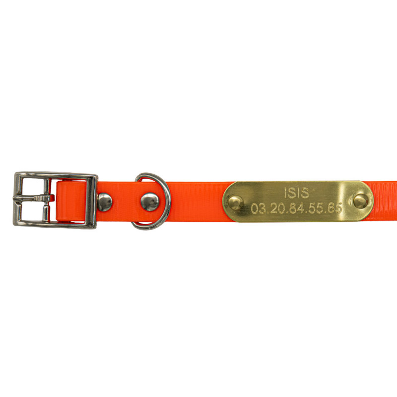 Collier Pour Chien Personnalisé Gravé - Avec Nom Et Numéro De Téléphone - Tailles XS à XL, Motif Floral - 7