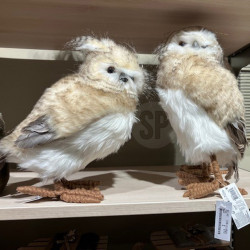 Decoratieve uil lichtbruin...