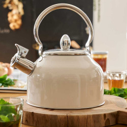Bouilloire sifflet Inox...