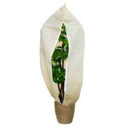 Plantendekkleed...
