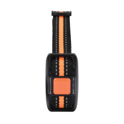 Collier dressage 2 chiens...