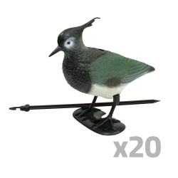 Lot 20 Kuifkievitten -...