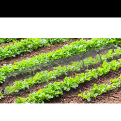 Serre tunnel 300x45x45cm...