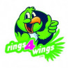 Rings 4 wings